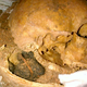 Illustration for article titled The TSA Found Human Skull Fragments Inside a Clay Pot